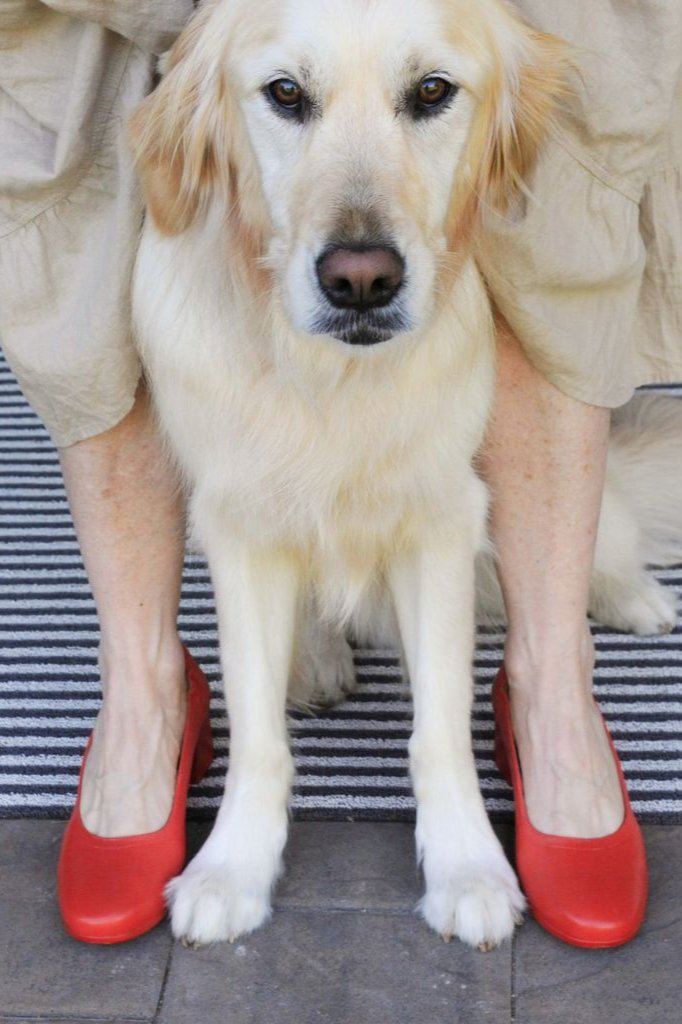 The Performance Heel by PIAR - Woman Wearing Stylish and Comfortable Red Leather Block Heel Pumps With Dog