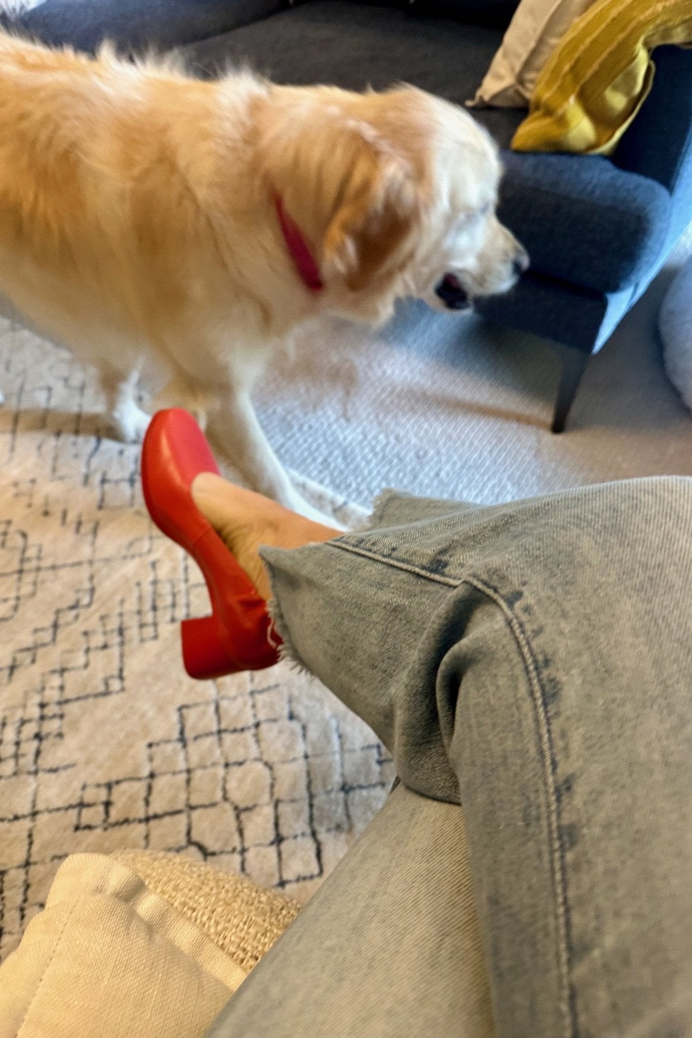 The Performance Heel by PIAR - Woman Wearing Stylish and Comfortable Red Leather Block Heel Pumps With Dog