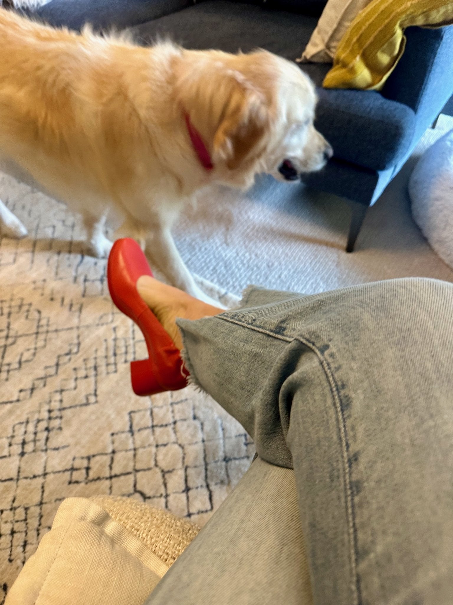 The Performance Heel by PIAR - Woman Wearing Stylish and Comfortable Red Leather Block Heel Pumps With Dog